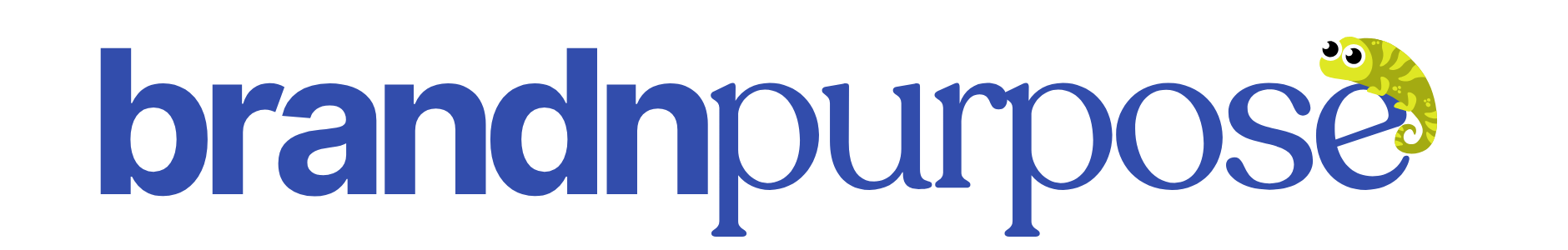 Brand N Purpose